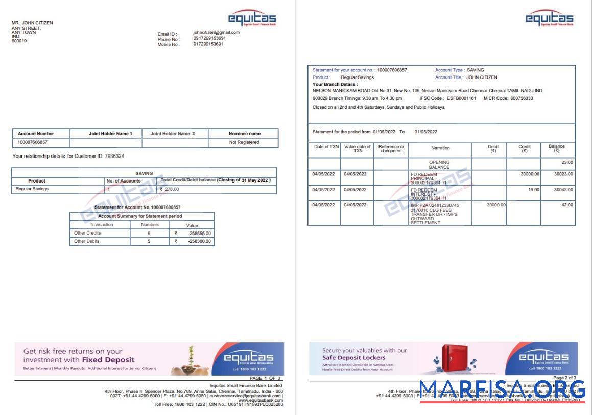 Printable India Equitas bank statement word 3 pages sample